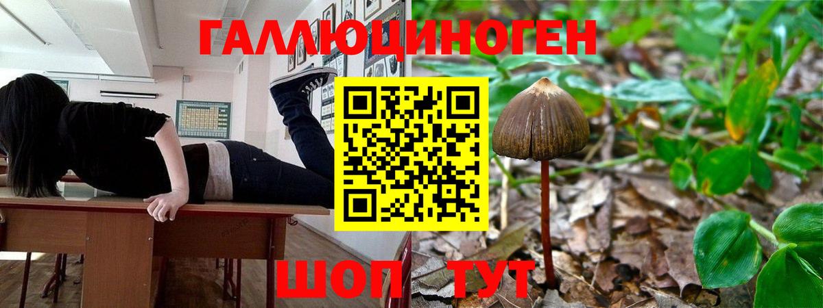 Галлюциногенные грибы мицелий  Вход с VPN  Югорск 